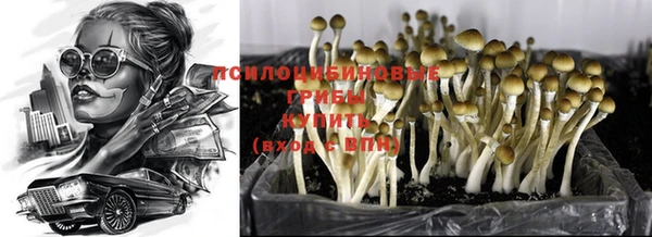 Альфа ПВП Липки